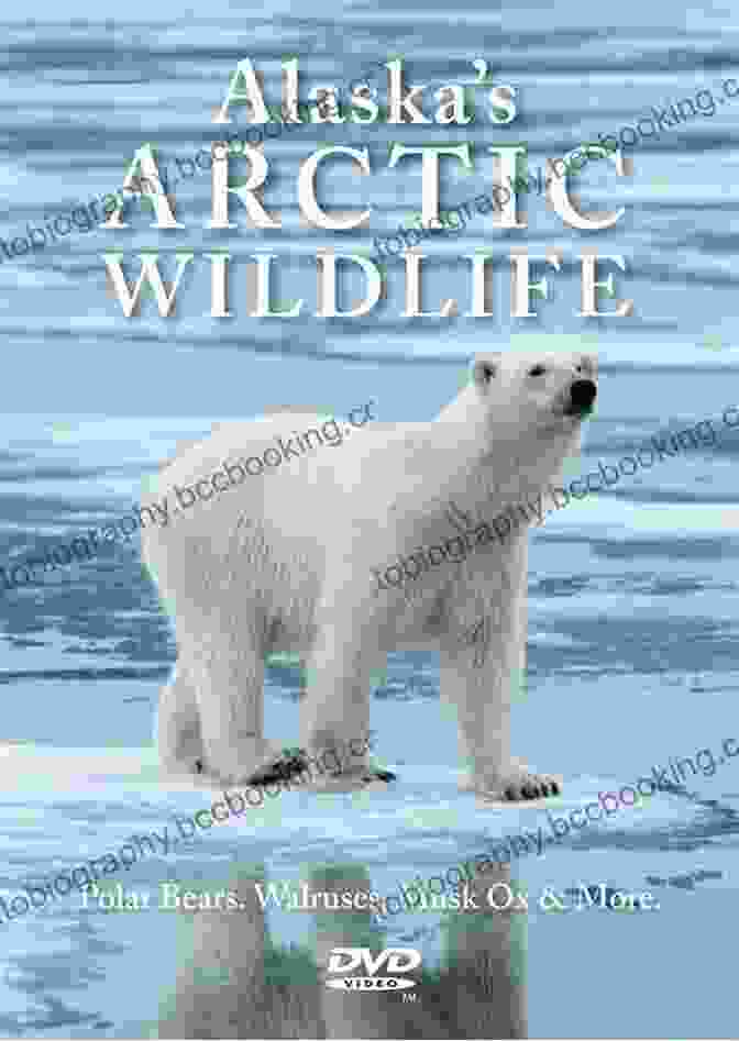 A Group Of Scientists Monitoring Wildlife Populations In Alaska's Arctic Wilderness. Changing Paths: Travels And Meditations In Alaska S Arctic Wilderness