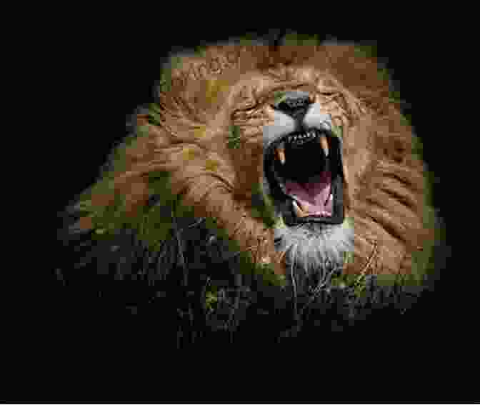 A Majestic Lion Roars, Its Mane Flowing In The Wind. Loom Magic Creatures : 25 Awesome Animals And Mythical Beings For A Rainbow Of Critters
