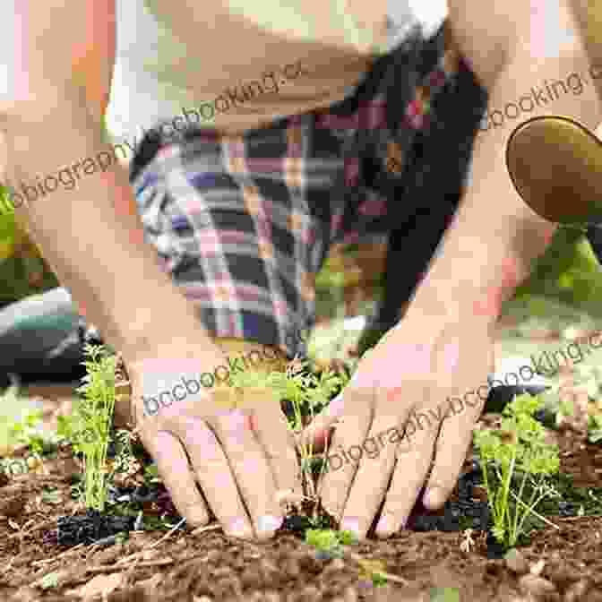 A Person Gardening And Strengthening Their Immune System Health Benefits Of Gardening Beverley Kerkes