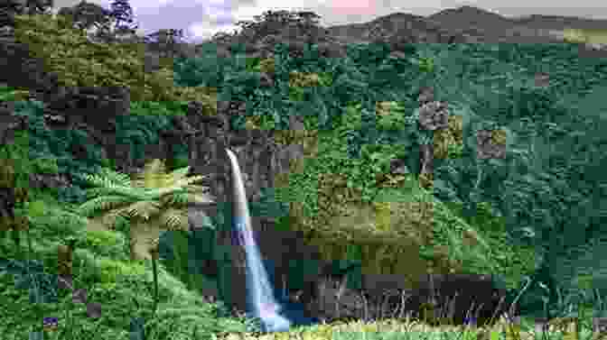 A Photo Of A Rainforest In Costa Rica Costa Rica A Vacationer S Guidebook Bob Chapman