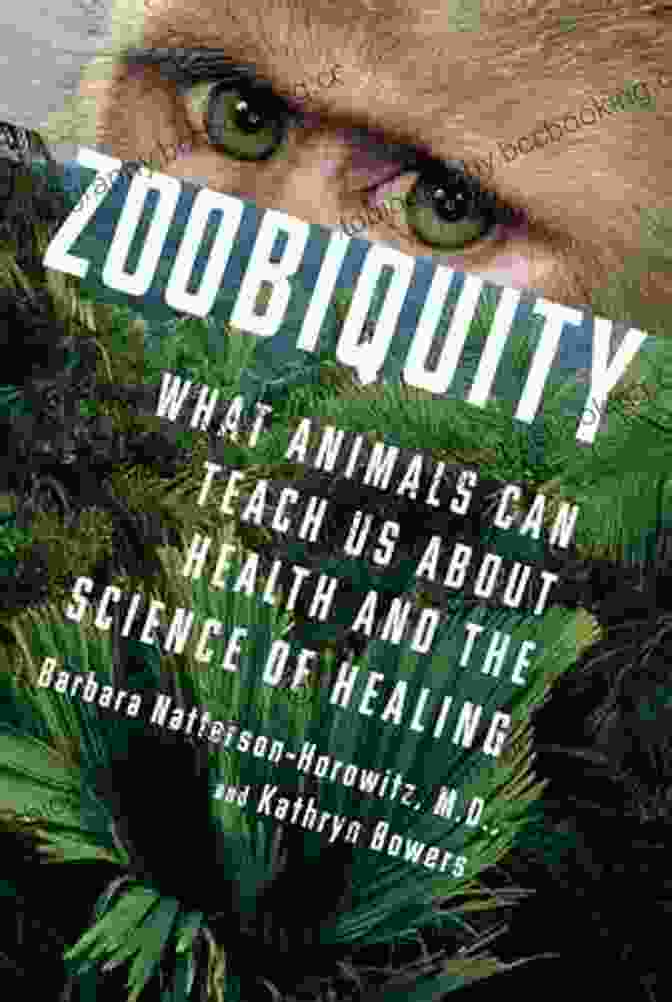 A Photo Of The Book What Animals Can Teach Us About Health And The Science Of Healing By Sarah Richards, With A Close Up Of A Dog's Face On The Cover. Zoobiquity: What Animals Can Teach Us About Health And The Science Of Healing