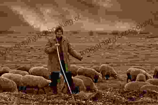 A Shepherd Herding A Flock Of Sheep. Goat Song: A Seasonal Life A Short History Of Herding And The Art Of Making Cheese