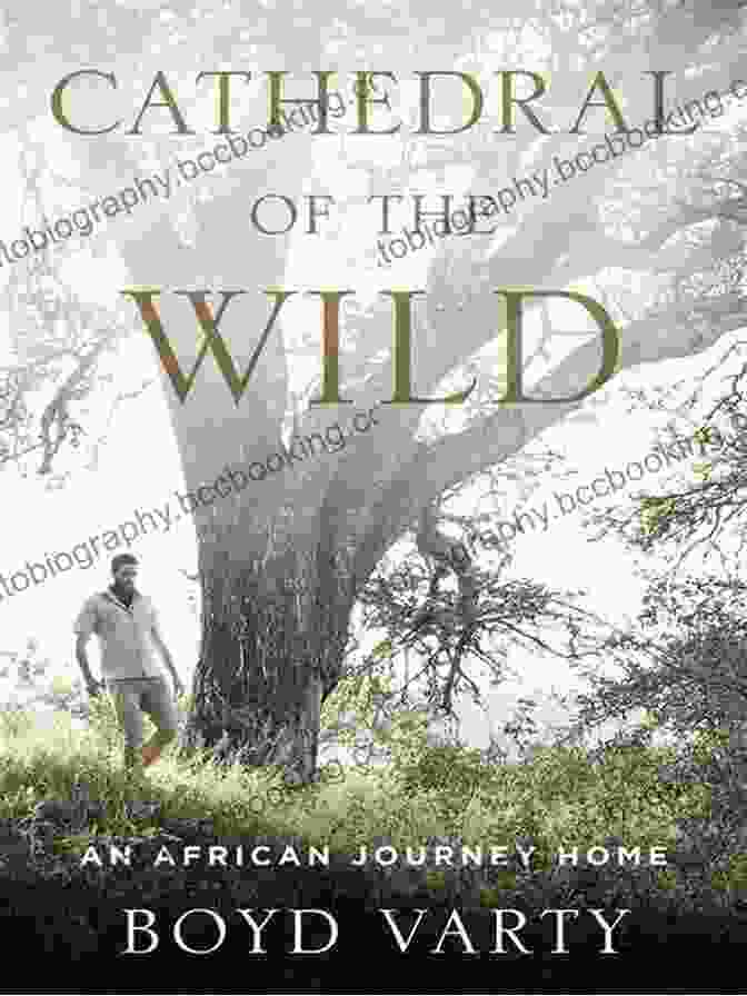 Cathedral Of The Wild By Boyd Varty Cathedral Of The Wild: An African Journey Home