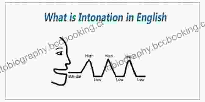 Diagram Of English Phonetics And Intonation Patterns Cheater S Guide To Speaking English Like A Native