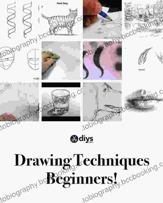 Drawing Techniques For Beginners Acrylics: Techniques And Tutorials For The Complete Beginner (Art Techniques)