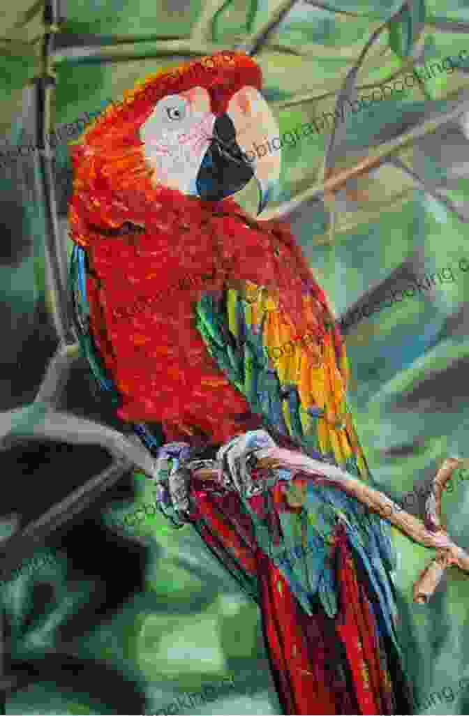 Finished Oil Painting Of A Macaw Parrot How To Oil Paint A Macaw Parrot (Intermediate 1)