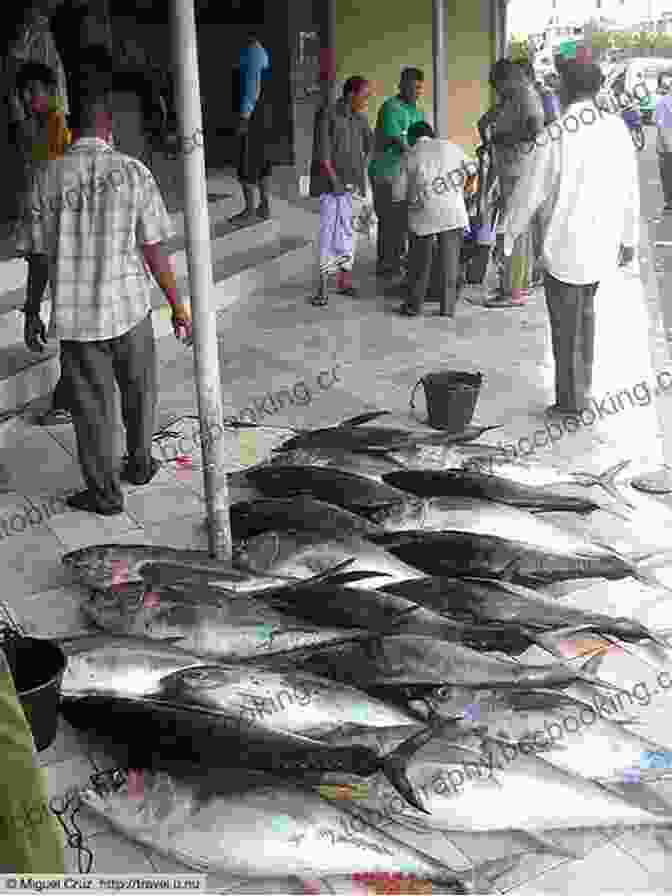 Fish Market In Malé Maldives 25 Secrets Bucket List 2024 The Locals Travel Guide For Your Trip To The Maldives