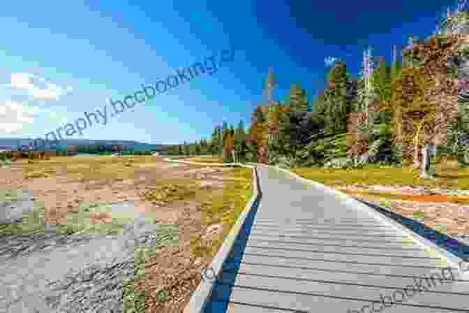 Hikers Exploring A Scenic Trail In Yellowstone National Park Best Easy Day Hikes Yellowstone National Park (Best Easy Day Hikes Series)