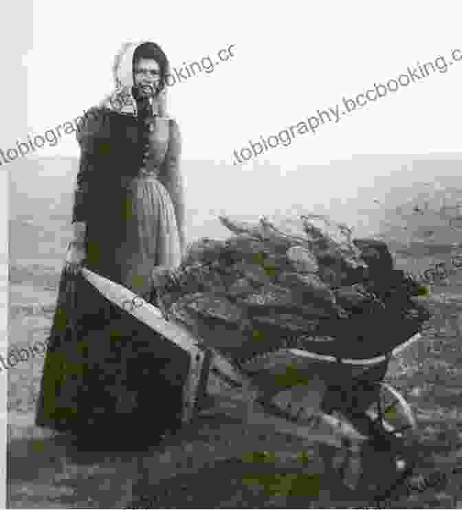 Historical Photo Of Pioneer Women Baking Bread They Came: Pioneer Women Of The Canadian West A Sampler Of Stories And Recipes