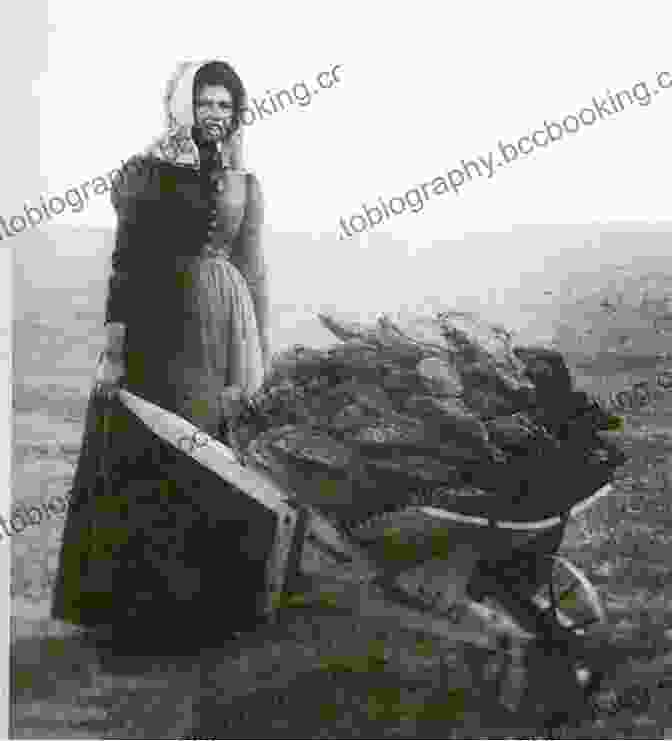 Historical Photo Of Pioneer Women Reading A Letter They Came: Pioneer Women Of The Canadian West A Sampler Of Stories And Recipes