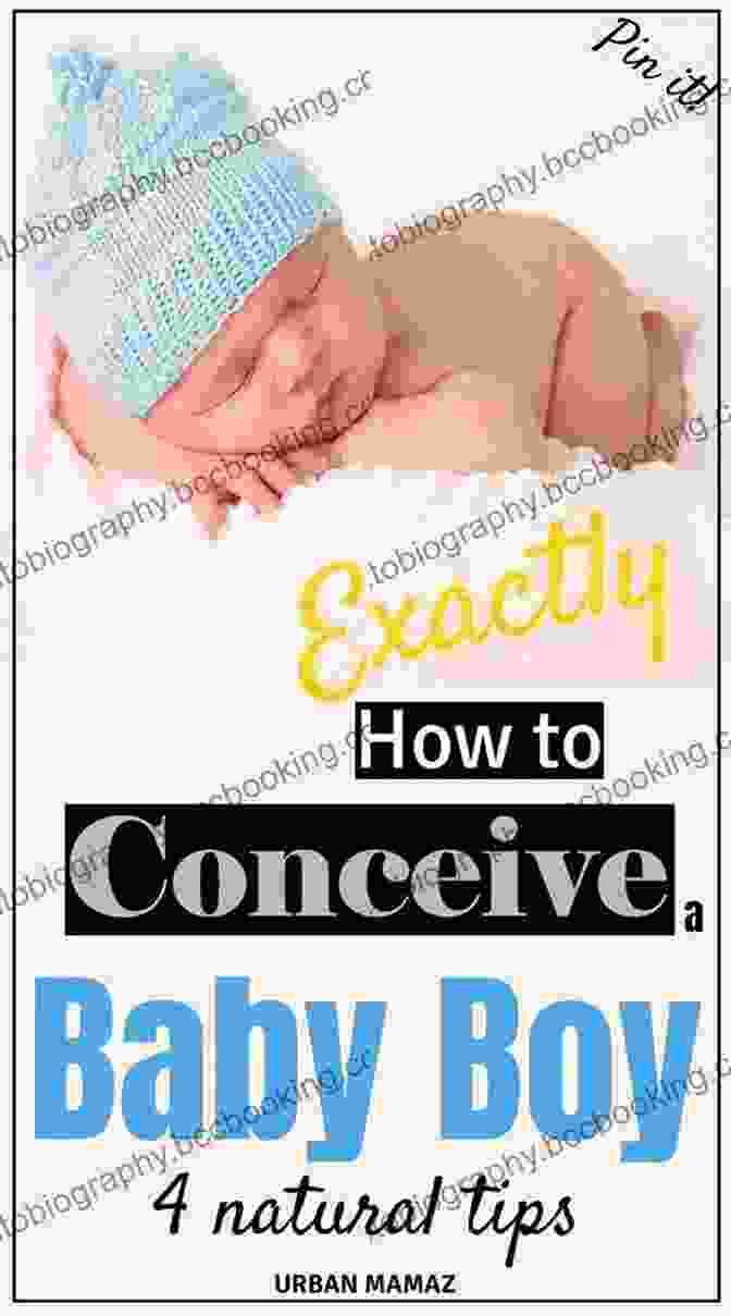 How To Conceive Babies The Natural Way Book Cover How To Conceive Babies The Natural Way