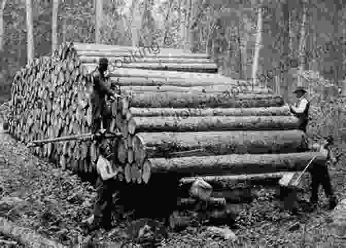 Logging In The Adirondacks A Wild Idea: How The Environmental Movement Tamed The Adirondacks