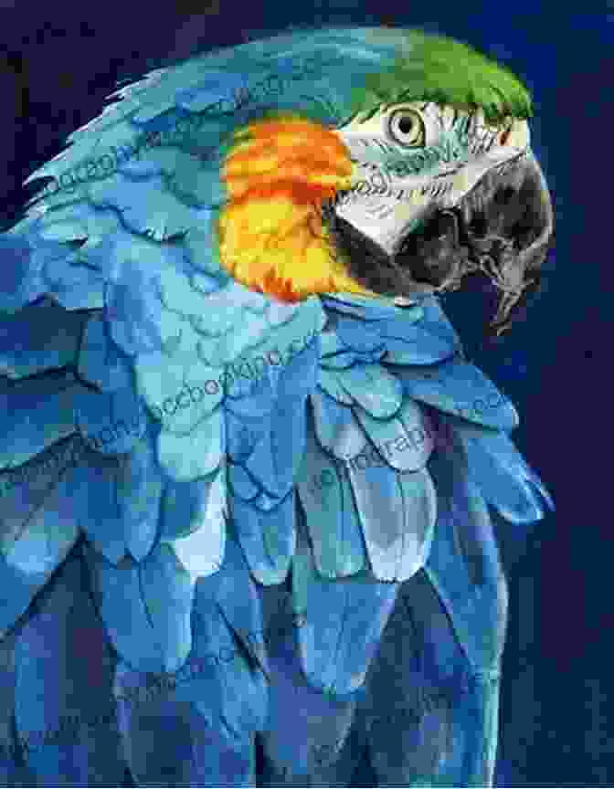 Painting The Head Of A Macaw Parrot How To Oil Paint A Macaw Parrot (Intermediate 1)