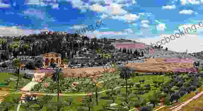 Panorama Of Jerusalem From Mount Of Olives A Historical Tour Of The Holy Land