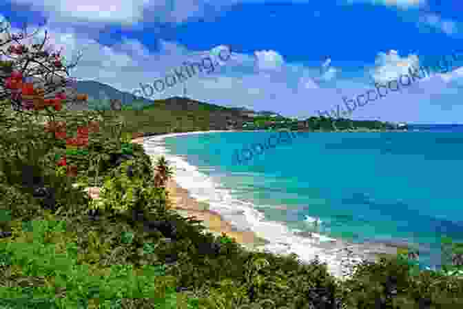 Panoramic View Of Puerto Rico's Beautiful Coastline The Island Hopping Digital Guide To Puerto Rico Part II The South Coast: Including La Parguera Guanica Ponce Salinas Jobos And Puerto Patillas