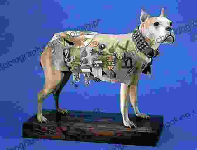 Sergeant Stubby, The Most Decorated Dog In American History Four Fisted Tales: Animals In Combat (Dead Reckoning)