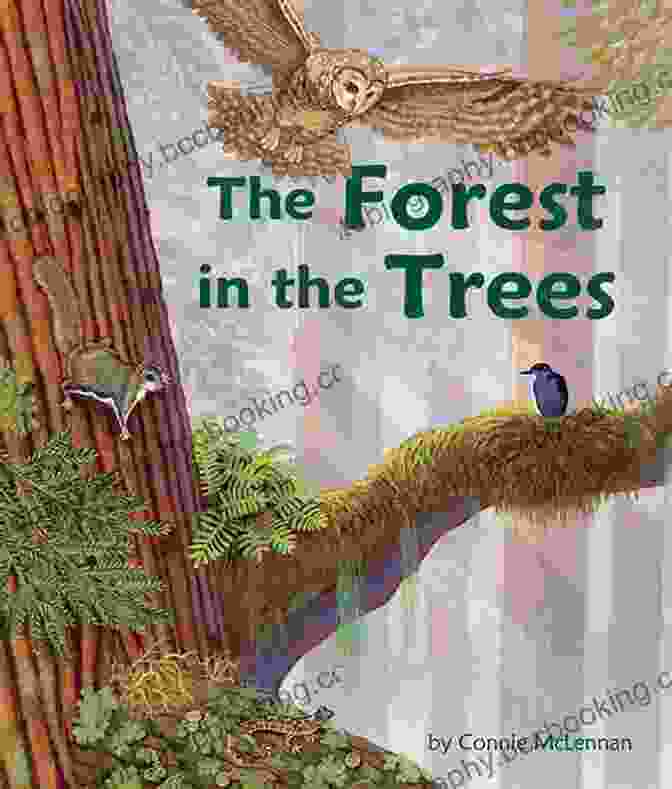 The Trees In My Forest Book Cover Featuring A Lush Forest Scene With Towering Trees The Trees In My Forest