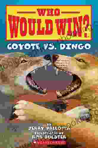 Coyote Vs Dingo (Who Would Win?)