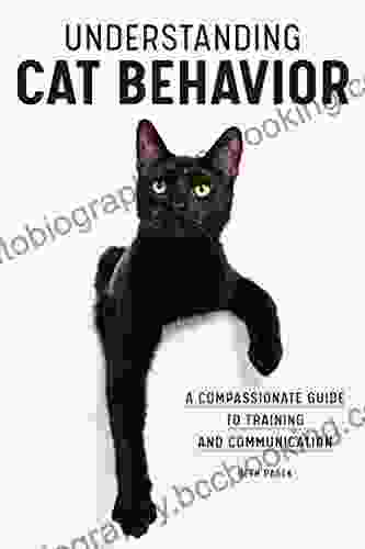 Understanding Cat Behavior: A Compassionate Guide To Training And Communication