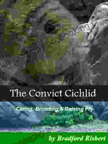 The Convict Cichlid Bradford Risbert