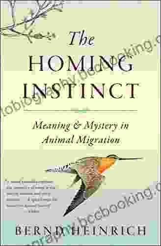 The Homing Instinct: Meaning Mystery In Animal Migration