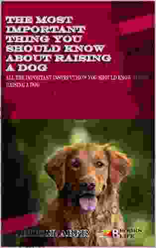 DOG TRAINING AND RAISING BOOK: The Important Things You Should Know About Raising Dog