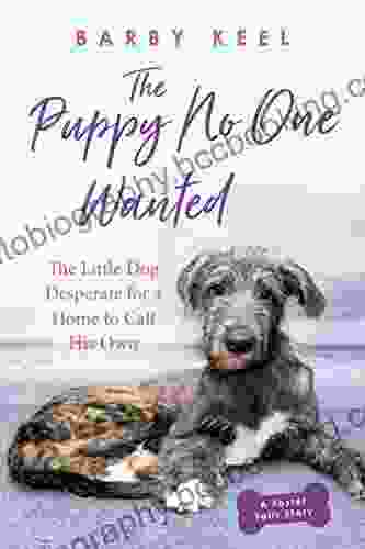 The Puppy No One Wanted: The Little Dog Desperate For A Home To Call His Own (Foster Tails 3)