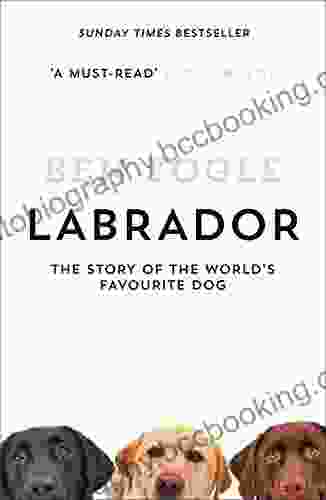 Labrador: The Story Of The World S Favourite Dog