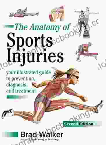 The Anatomy Of Sports Injuries Second Edition: Your Illustrated Guide To Prevention Diagnosis And Treatment